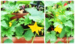 Collage di Picnik2