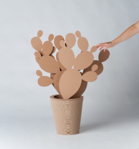 vaso cartone 2