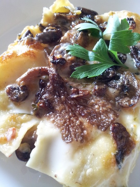 lasagne ai funghi