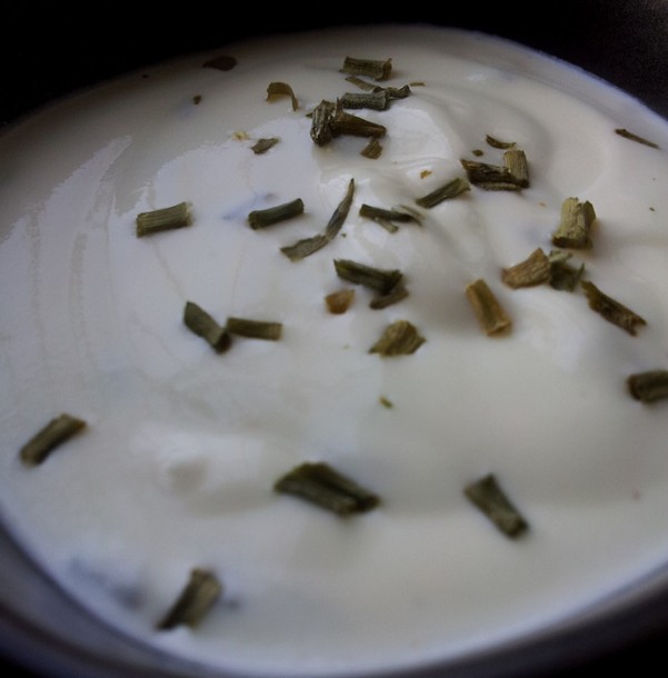 salsa allo yogurt