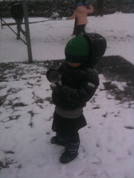 pippo neve